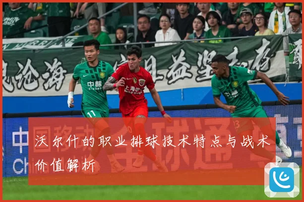 沃尔什的职业排球技术特点与战术价值解析