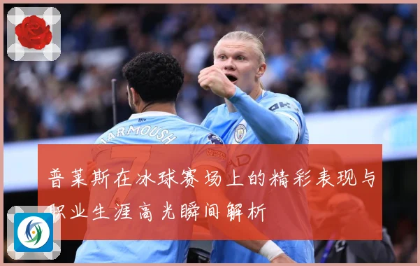 普莱斯在冰球赛场上的精彩表现与职业生涯高光瞬间解析